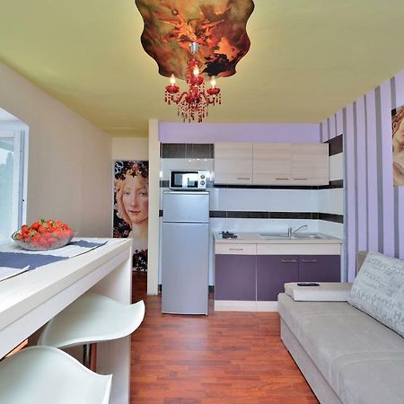 Apartments Carpe Diem Novigrad  Esterno foto