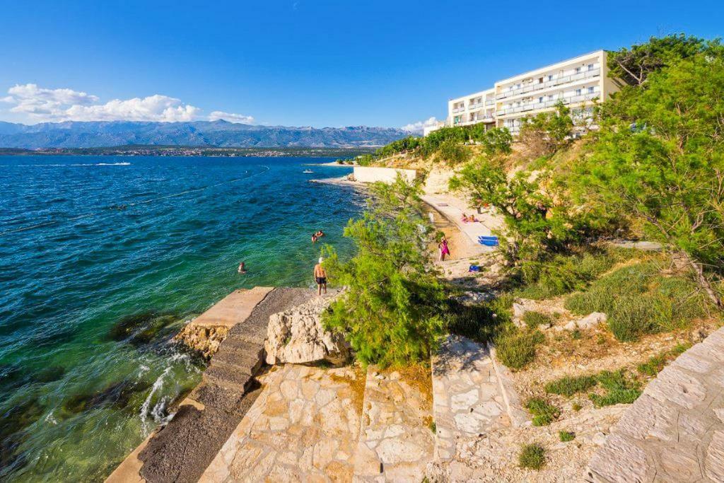 Apartments Carpe Diem Novigrad  Esterno foto